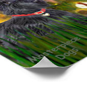 Poster Scottish Terrier 6-Mid Eve (Coin)