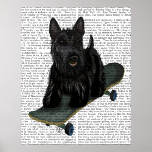 Poster Scottish Terrier and Skateboard