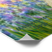 Poster Scottish Terrier (deux BW) - Garden (Coin)