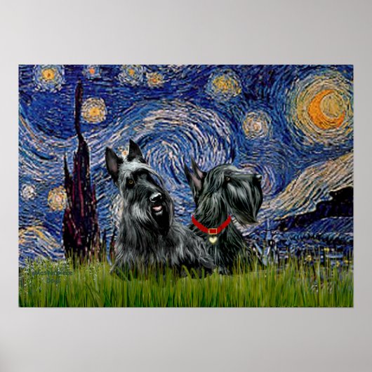 Poster Scottish Terrier (deux noirs) - Starry Night (Devant)