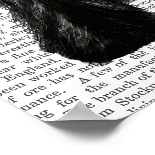 Poster Scottish Terrier et Bow (Coin)