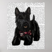 Poster Scottish Terrier et Bow (Devant)
