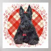 Poster Scottish terrier on tartan (Devant)