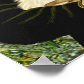 Poster Scottish Terrier (W5) - MonaLisa (Coin)