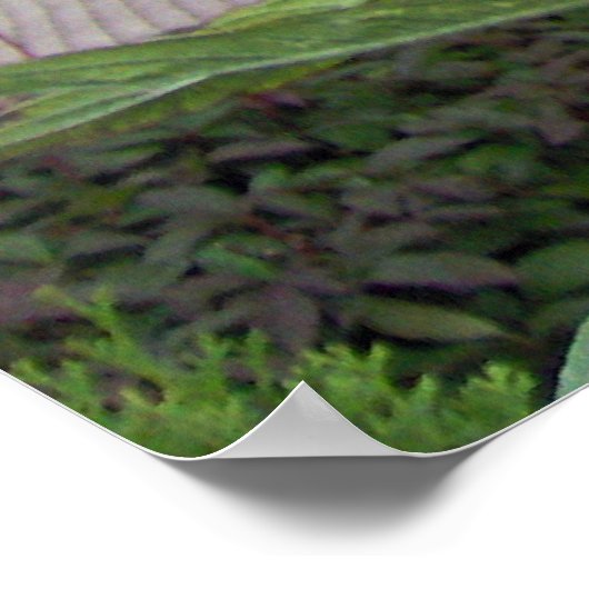 Poster Scottish thistle (Coin)