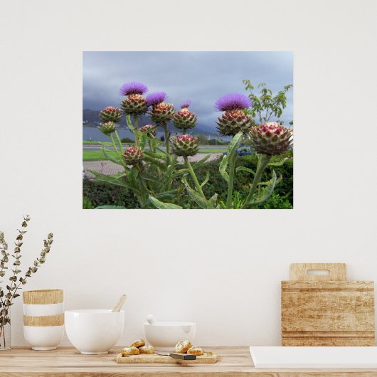 Poster Scottish thistle (Cuisine)