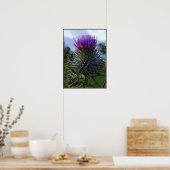 Poster Scottish Thistle Fine Art Photographie (Cuisine)