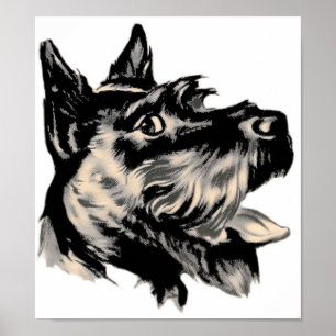 Poster Scotty Dog