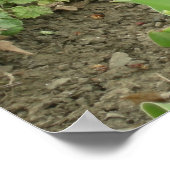Poster Scrapper dans le jardin (Coin)