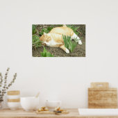 Poster Scrapper dans le jardin (Cuisine)
