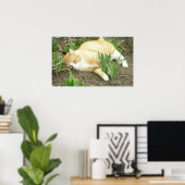Poster Scrapper dans le jardin (Bureau à domicile)
