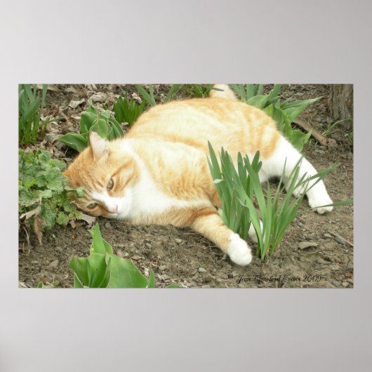 Poster Scrapper dans le jardin (Devant)