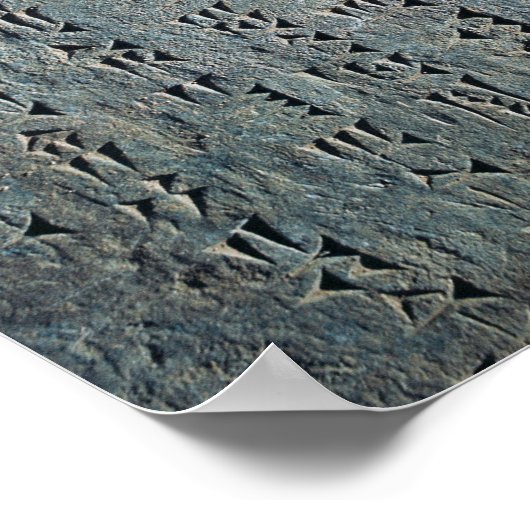 Poster Script Cuneiform (Coin)