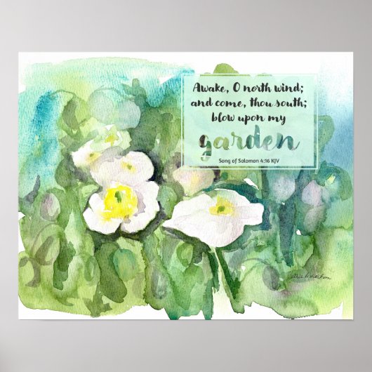 Poster Scripture Song of Solomon White Poppies (Devant)