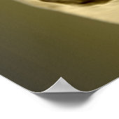 Poster Scrooge de Noël - Carol de Noël (Coin)