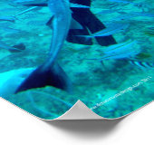 Poster Scuba Pro (Coin)