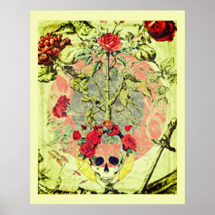 Poster Scull et Rose Bush