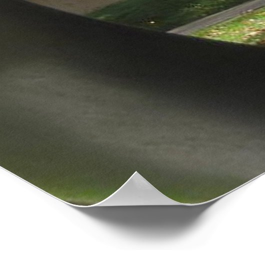 Poster Sculpture d'érable (Coin)