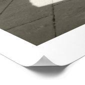 Poster Scuole Palatine (Coin)