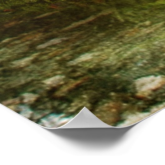 Poster se cacher (Coin)