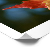 Poster Se prélasser du soleil (Coin)