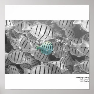 Poster Se tenir à l'écart de la foule