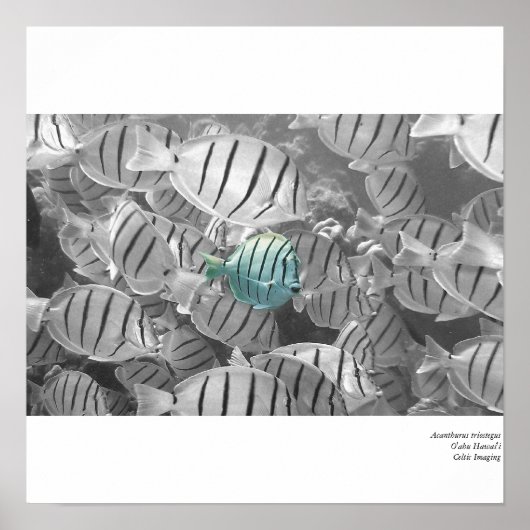 Poster Se tenir à l'écart de la foule (Devant)