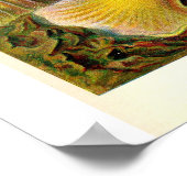 Poster Sea Anemones Vintage Illustration (Coin)