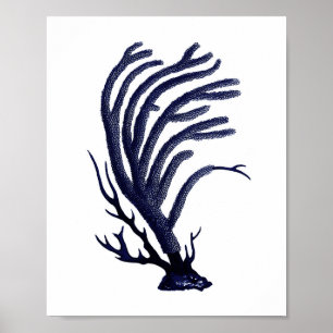 Poster Sea Coral Marine Blue Coastal Wall Art