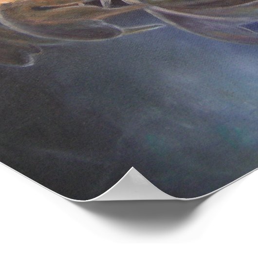 Poster SEA DRAGON (Coin)