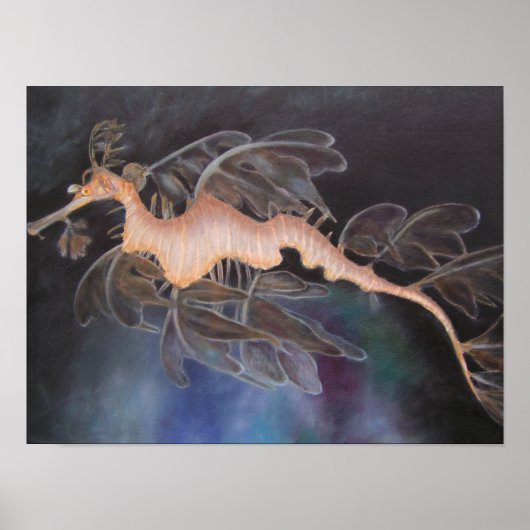 Poster SEA DRAGON (Devant)