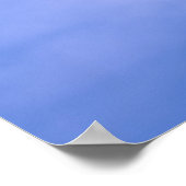 Poster Sea gull in flight (Coin)