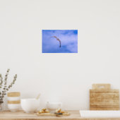 Poster Sea gull in flight (Cuisine)
