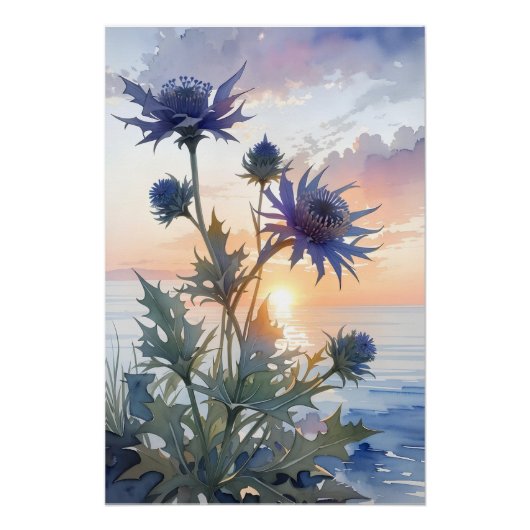 Poster Sea Holly (Devant)