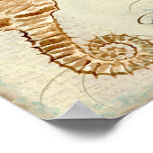 Poster Sea Horse, Sea Turtle Plage côtière - Art (Coin)