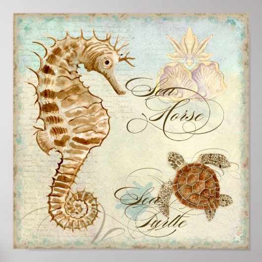 Poster Sea Horse, Sea Turtle Plage côtière - Art (Devant)
