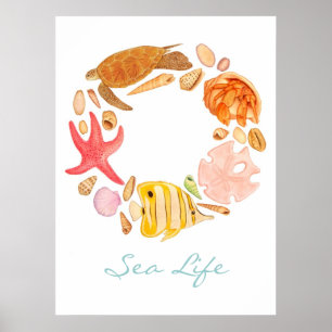 Poster Sea Life