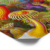 Poster Sea Life - Illustration scientifique (Coin)