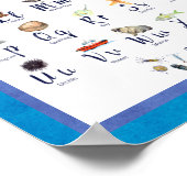 Poster Sea Life Ocean Animaux Alphabet pour enfants (Coin)
