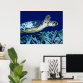 Poster Sea Life - Tortue de mer (Bureau à domicile)