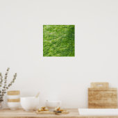 Poster Sea Moss Green Nature Pittoresque Nautique Côtier  (Cuisine)