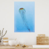 Poster Sea Nettle (Cuisine)