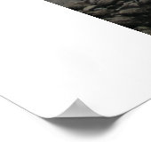 Poster Sea Ranch (Coin)