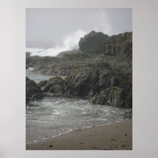 Poster Sea Ranch Beach (Devant)