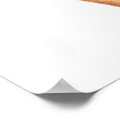 Poster Sea Shell no. 6 Beach Decor Art Imprimer. (Coin)