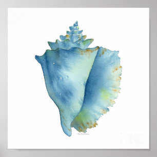 Poster - Sea Shell On The Sea Shore