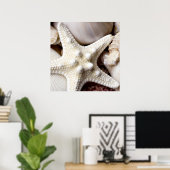 Poster Sea Shell Starfish Arrière - plan - Beach Shells (Bureau à domicile)