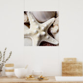 Poster Sea Shell Starfish Arrière - plan - Beach Shells (Cuisine)