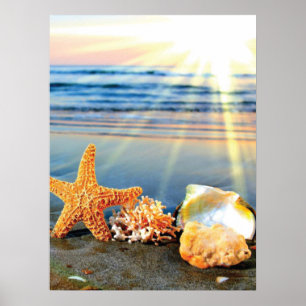 Poster Sea shells and starfish on beach