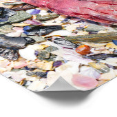 Poster Sea Shells Jellyfish Ocean Beach Vue (Coin)